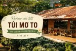 tui_mo_to_chinh.jpg tui_mo_to_chinh.jpg